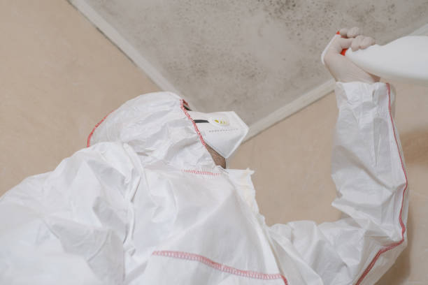 Best Commercial Mold Remediation in Oxford, MI