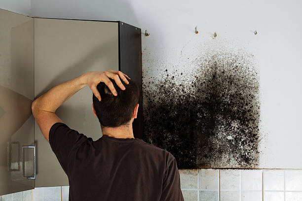 Best Post-Flood Mold Remediation in Oxford, MI